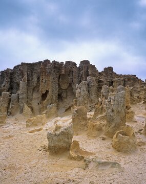 Petrified Forest at Cape Bridgewater, Victoria, Australia