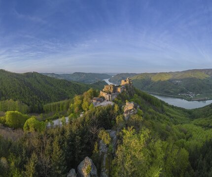 Drone shot of Aggstein Ruin at sunrise with Danube, Wachau, Sch&ouml;nb&uuml;hel-Aggsbach, Lower Austria, Austria