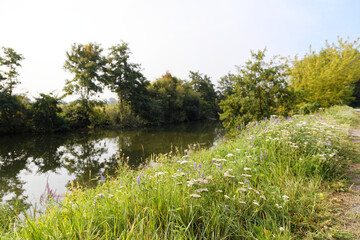 chemin de la pannerie