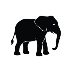 Fototapeta premium Silhouette of an african elephant walking