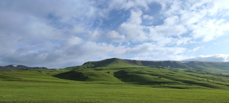 Beautiful spring green meadow, Tonkeris village, Karatobinsky rural district, Tolebiysky district, Turkestan region, Republic of Kazakhstan.