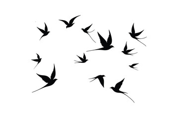 black silhouettes of birds, Flying Birds Silhouette Vector Illustration Set