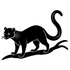 black cat on a tree branch on white background