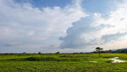 Obraz premium Sunset in Baluran National Park with Savanna View and Pond