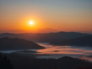 Scenic sunrise view of the Carpathian Mountains with misty valleys, evergreen trees, and blooming wildflowers in the foreground.
