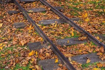 Selective focus on railroad tracks in an autumn landscape.