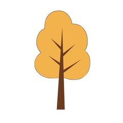 autumn tree, nature, fall, forest