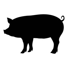 Pig silhouette vector illustration for farming animal graphic design and art projects simple style drawing