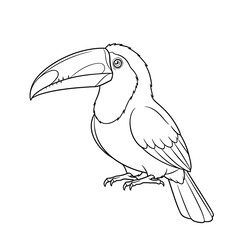 Obraz premium Exotic Toucan Sketch: A captivating illustration of a toucan, showcasing its distinctively large beak and vibrant details, perfect for coloring or adding to educational resources.