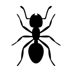 Discover the intricate world of ants black silhouette vector graphic illustration design element