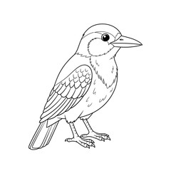Fototapeta premium Kingfisher Line Drawing: A clean line drawing portrays a Kingfisher in detail, an engaging design suitable for diverse applications. 