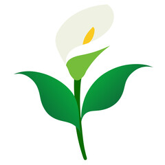 vector illustration of a flower