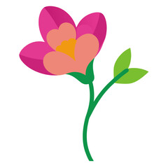 pink flower vector illustration