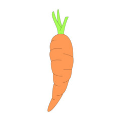 carrot. vegetable theme. healthy food. agriculture. harvest. vector illustration