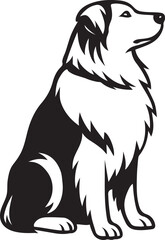 Border Collie sitting dog illustration black and white, Black and white Border Collie graphic design