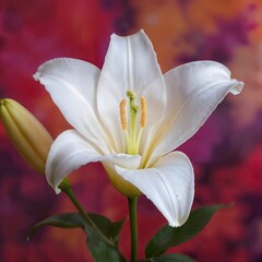 Fototapeta premium Close-up of a pure white lily in bloom with a soft-focus bud beside it, set against a vibrant red, orange, and purple bokeh background – AI Generated Digital Art.