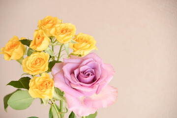 紫と黄色のばら