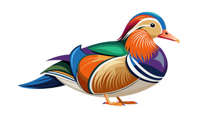 Download Mandarin Duck Two Legs Vector Illustration Eps File For Design.