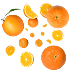 Fresh juicy oranges swirling in air against white background. Citrus fruit