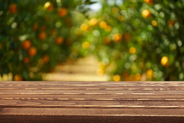 Wooden table in an orange grove with blurred trees and fruit in the background during daylight