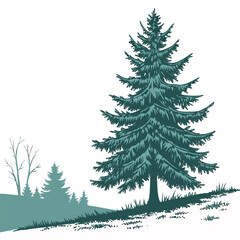 Fototapeta premium A beautiful blue spruce evergreen tree, isolated on a clean background. This stunning and realistic illustration is perfect for classic nature and holiday designs.