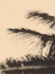 Halftone tropical leaf shadow. Realistic shadow from palm leaves isolated on a sand background with copy space. Tropic concept with coconut leaf shadow. Vector illustration