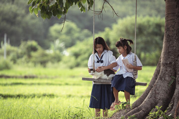 Two Girls on a Swing Enjoying Time Together in a Serene Rice Field with a Cat in a Natural Outdoor Setting