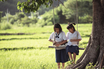 Two Young Girls Enjoying a Swing Under a Tree in a Lush Green Rice Field, Capturing Moments of Friendship and Nature's Beauty