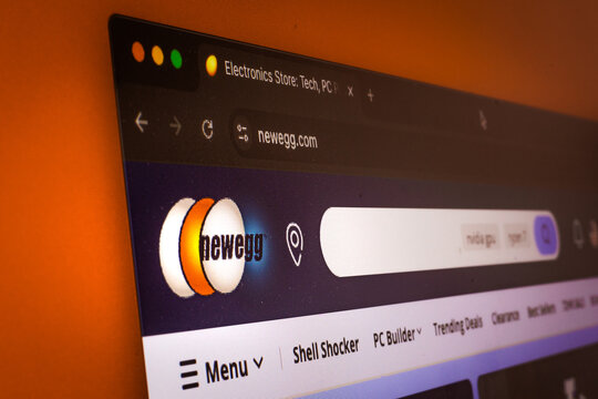 Close-Up of Newegg Logo on Orange Website Background | PC Hardware Retailer - Porto, Portugal on August 14th, 2025
