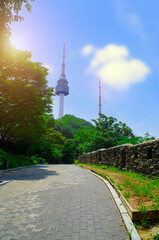 Obraz premium The summer forest view of Seoul Tower
