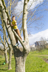 Fototapeta premium Child climbing tree in park enjoying sunny day