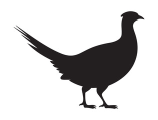 very simple flat and minimalist Pheasant. Vector black silhouette. with white background