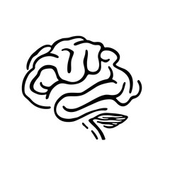 Vector illustration of the human brain's anatomy, a symbol of intelligence and cerebral power