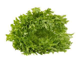 Lettuce salad cut out isolated transparent background