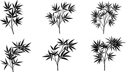 Color Bamboo Leaf Vector Collection, Realistic Botanical Clipart for Nature Decor, Asian Design, Eco Projects, Tropical Art, Print Use