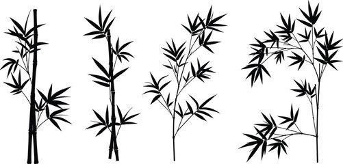 Realistic Bamboo Silhouette Vector Collection, Tall Botanical Plant Stalks and Leaves, Asian Nature Design for Art and Decoration Use