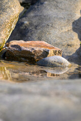 a secluded tide pool at low tide