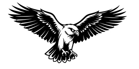 Obraz premium Black and White Hawk Vector Illustration: Powerful Bird Design 