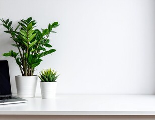 Fototapeta premium White Desk with Laptop and Plant on the Left, Empty Space on the Right for Text, Minimalist Workspace Background Illustration
