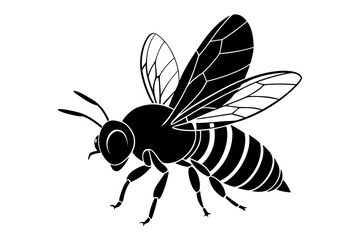 Bee Silhouette: A striking silhouette of a bee is elegantly depicted, capturing its intricate structure and dynamic flight. The stark contrast accentuates its delicate form.