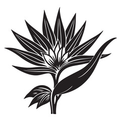 A Cluster of Bird of Paradise Flowers, a Beautiful and Architectural Floral Arrangement, a Symbol of Joy and Anticipation, in a Modern Interior Setting