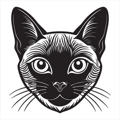 A Playful and Affectionate Tonkinese Cat, an Energetic and Dog-like Companion, Jumping and Chasing Toys in a Sunlit Home