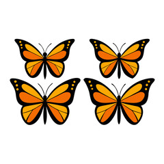 Obraz premium set of Monarch Butterfly