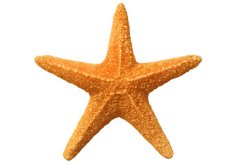 Orange starfish isolated on transparent background exhibiting marine life beauty