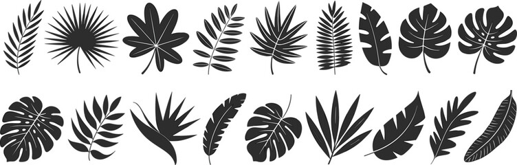 Fototapeta premium Collection of Diverse Dark Gray Tropical Leaves and Foliage Silhouettes plant botanical