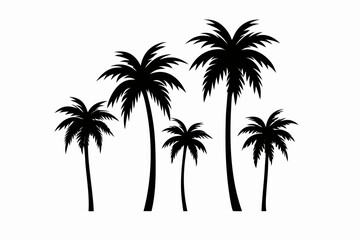 Palm Silhouette: A graphic silhouette depicts a collection of palm trees against the pure clarity, evoking a sense of tropical tranquility and vacation.