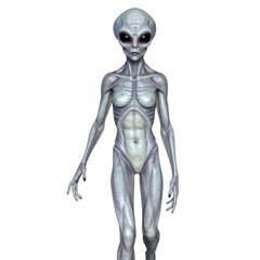 Tall humanoid alien with large black eyes, elongated limbs, and pale, textured skin displaying a thin, skeletal frame