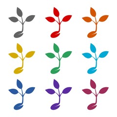 Young Sprout  icon isolated on white background. Set icons colorful
