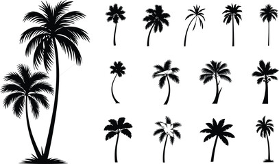 Palm tree silhouette collection, tropical coconut trees, beach summer elements, exotic island vibes, vector palm illustrations for vacation design use