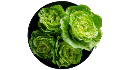 Top view of fresh green lettuce heads in a bowl, isolated on transparent background